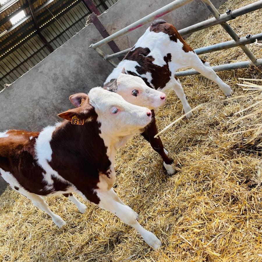 Kota A La Ferme Hotell Beaufort-en-Argonne Eksteriør bilde